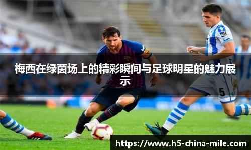 米乐m6